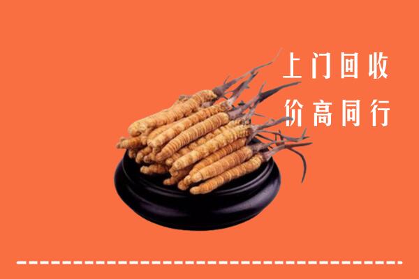高价求购：无锡市江阴回收散虫草