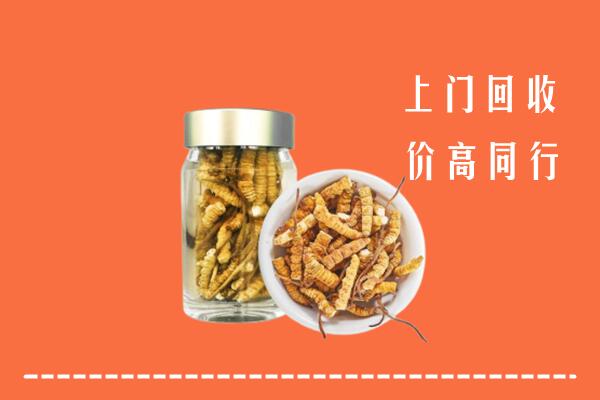 无锡市江阴回收冬虫夏草